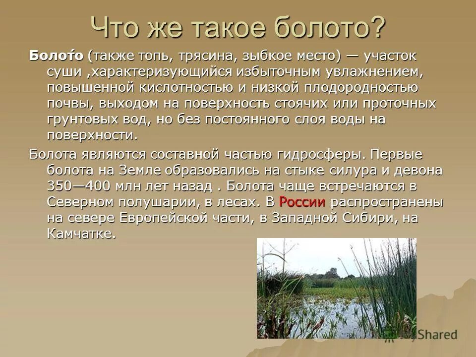 Сообщение о болоте