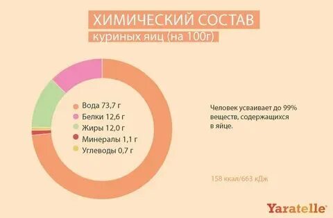 Что содержится в курином белке