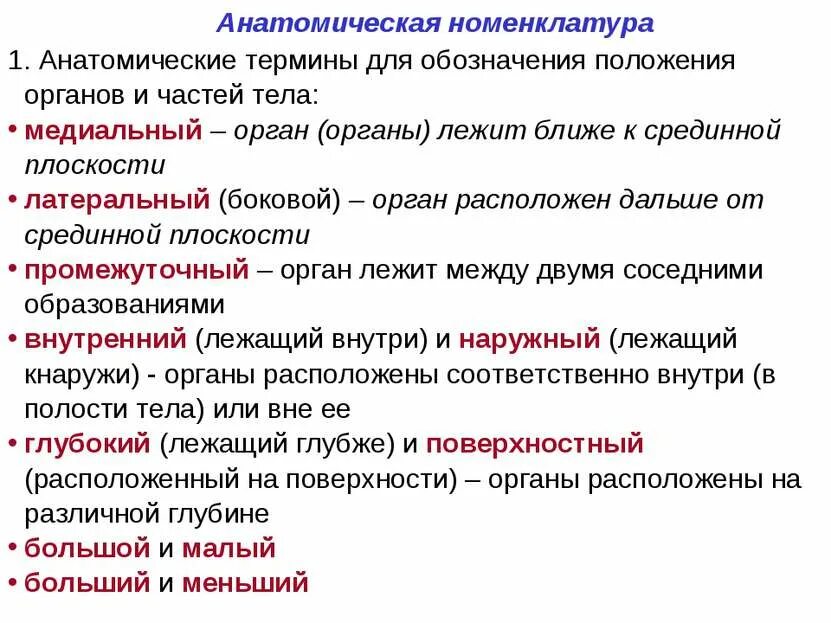 Положение на латыни. Структуры тела человека и анатомические термины. Анатомическая номенклатура основные физиологические термины. Анатомическая нуменклотур. Анатомическая номенклатура анатомия.