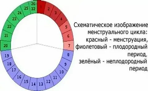 Опасные дни забеременеть