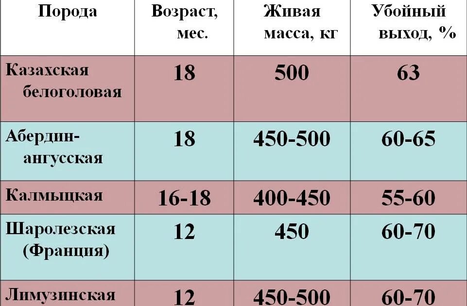 Выход говядины от живого веса. Таблица убойного выхода мяса КРС. Выход мяса от живого веса. Таблица выход мяса КРС.