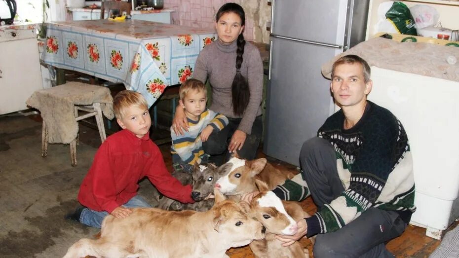 Мутант человека карова. Корова родила человеческого ребенка. Корова родила человеческого ребенка. Корова родила человеческого ребенка. Коровы в башкирии.