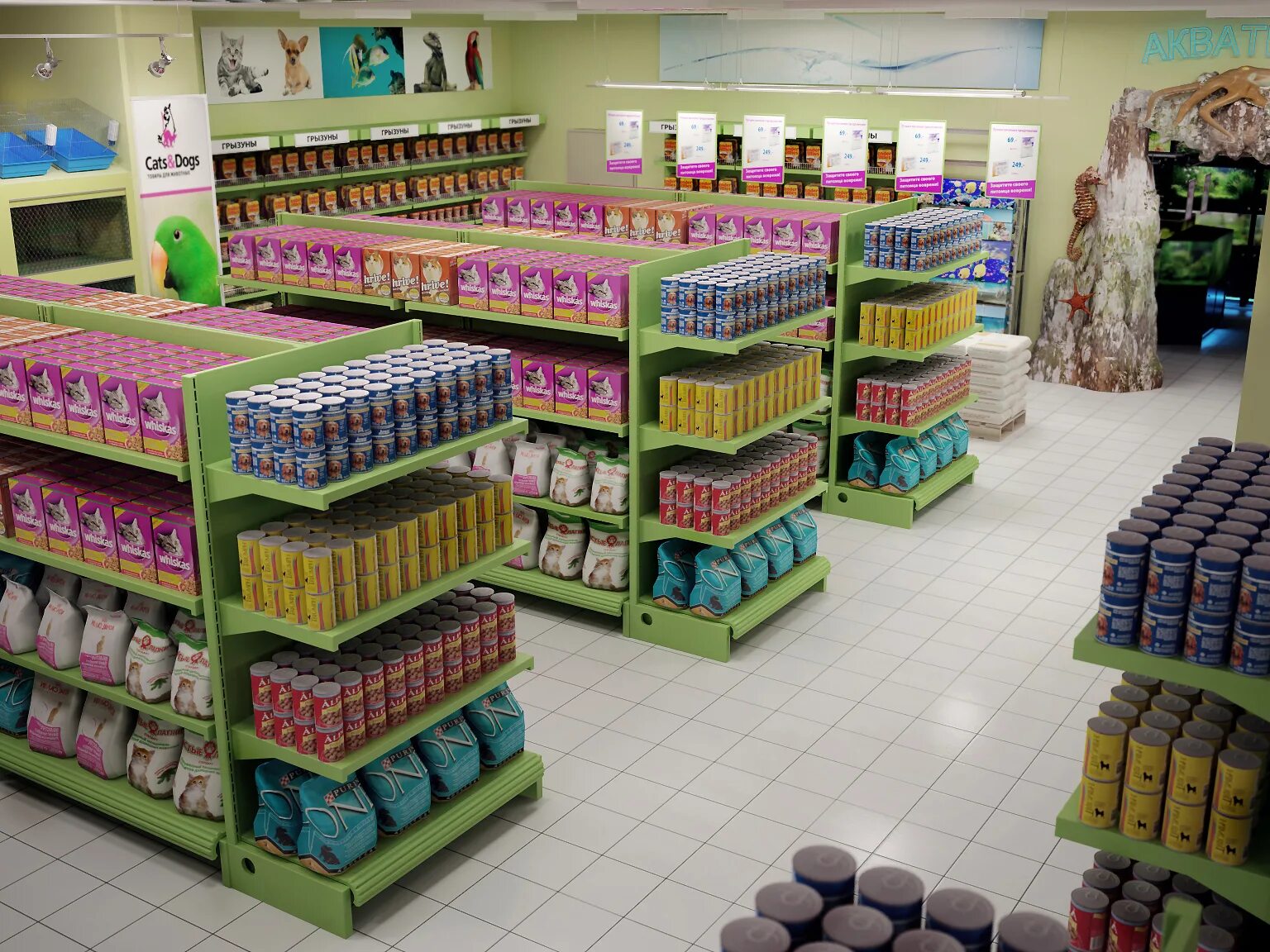 Cat store. Кошка в магазине. ПЭТ энд Кэт. Торговые ряды магазин Кэт. ООО Кэт.