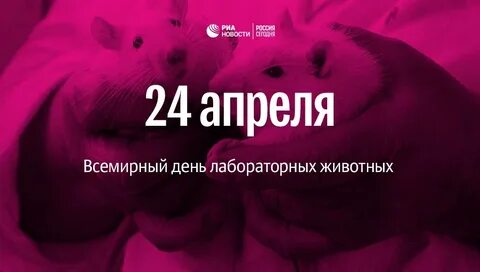 День защиты лабораторных животных