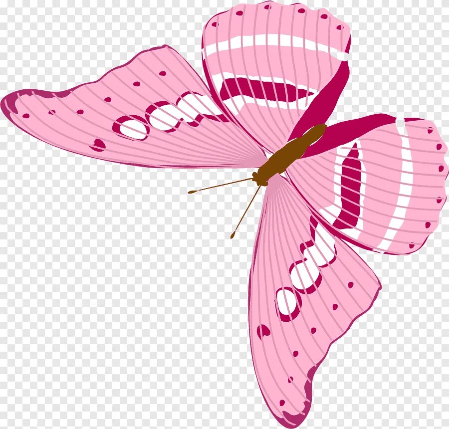 Розовые бабочки. Нежные бабочки на прозрачном фоне. Красивые бабочки на прозрачном фоне. Бабочки нежно розовые.