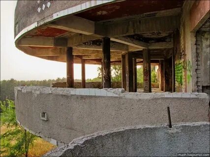 Сосновый бор воронеж