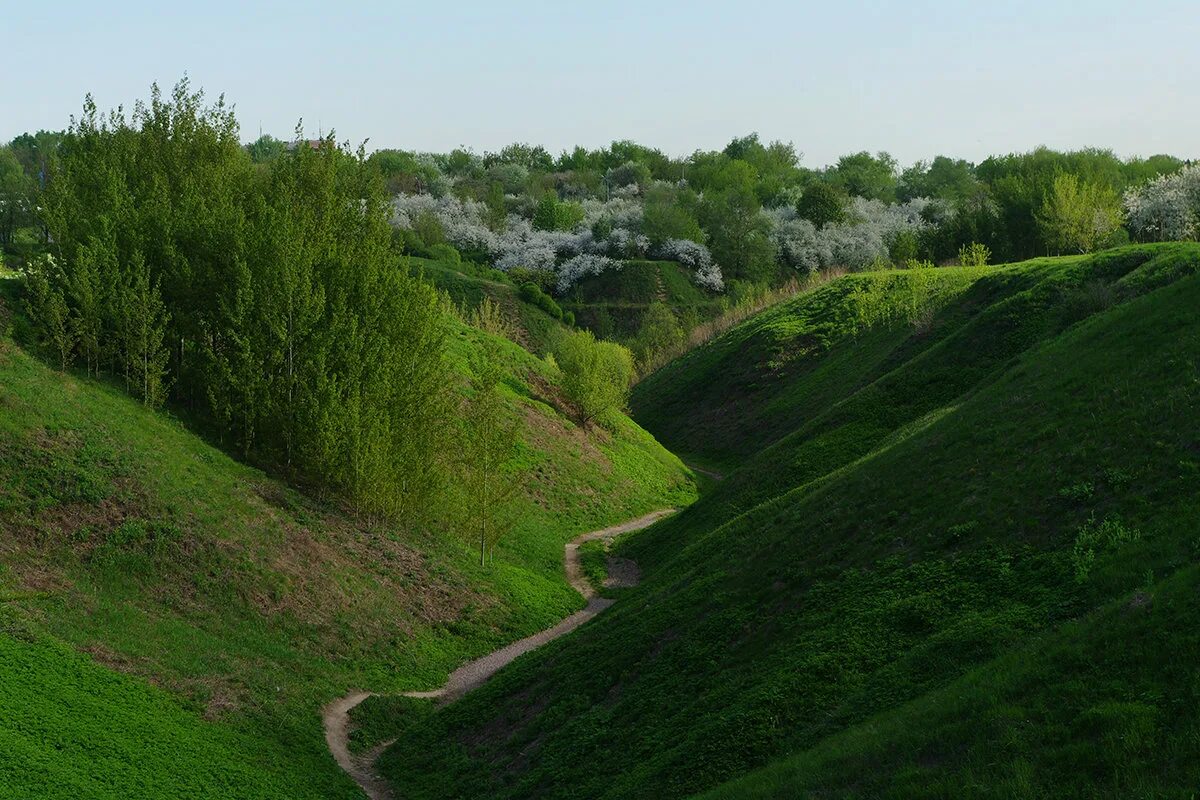 Овраг рисунок. Поверхность забайкалья холмы горы овраги. Овраг жданкин. Изображение оврага. Овраг.