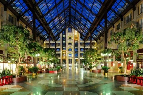 Maritim hotel