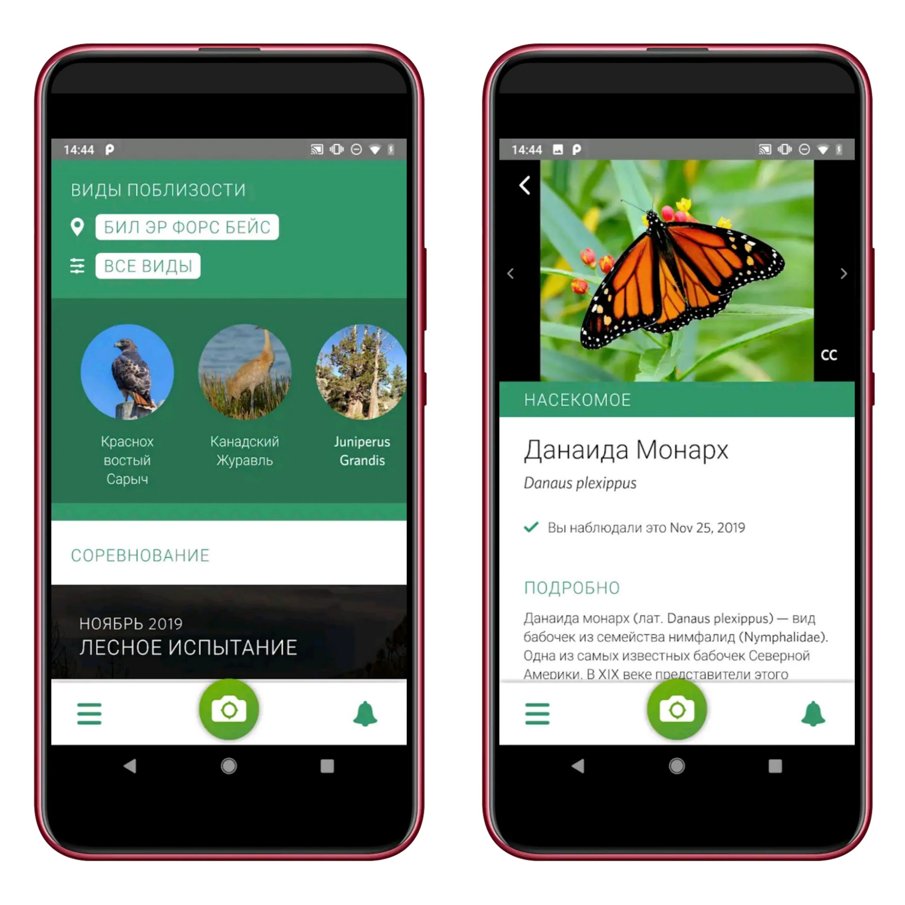 Seek программа. Приложение seek. приложение seek для определения растений. inaturalist приложение. seek приложение для распознавания.