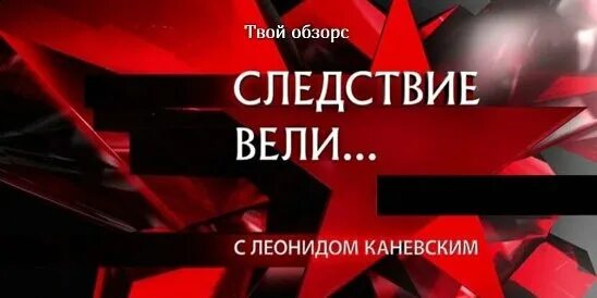 Следствие вели. Следствие с Леонидом Каневским. Каневский следствие вели. Передача следствие вели с Леонидом Каневским.