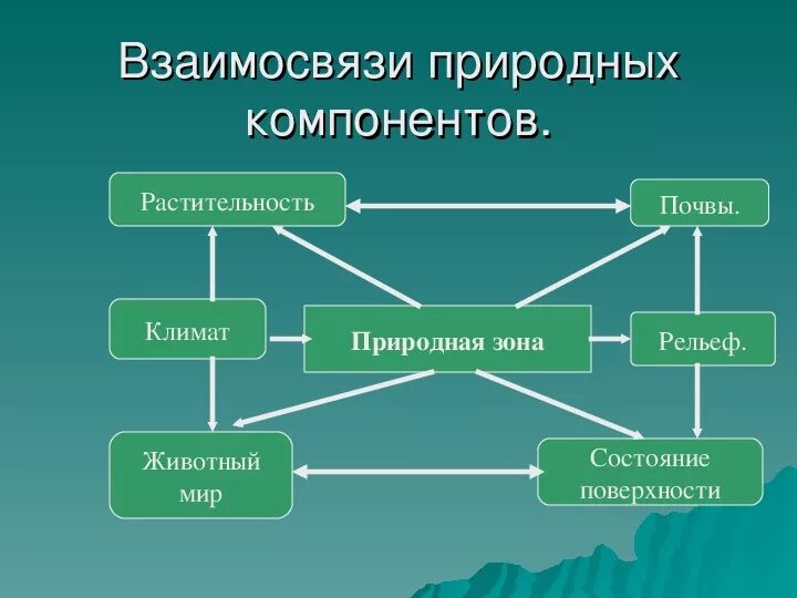 7 природных компонентов. Взаимосвязь природных компонентов. Взаимосвязь элементов природы. Взаимосвязь между компонентами природного комплекса. Схема взаимодействия компонентов природы.