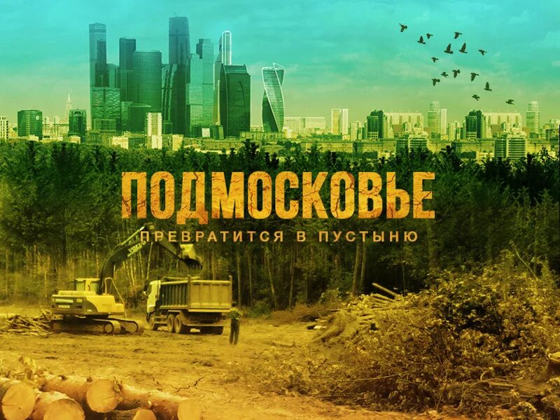 Сайт экология московской области. Экология Подмосковья. Экология Москвы. Экология МО. Экология Москвы картинки.