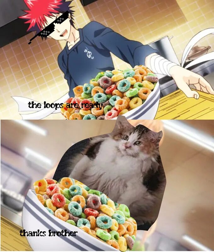 Loops cat. Loops мем. loops brother. мем с котом и хлопьями.