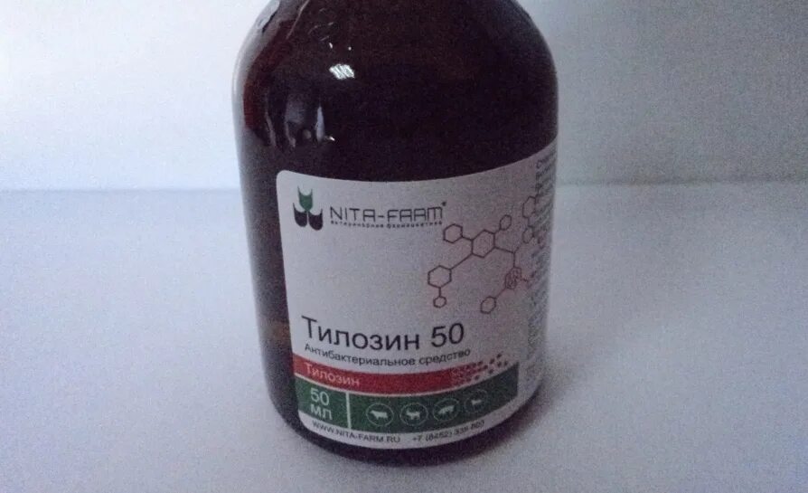 Тилозин для кошек. Тилозин 50 таблетки. тилозин 50 для птиц. от поноса телятам лекарство. препараты от диареи у телят.