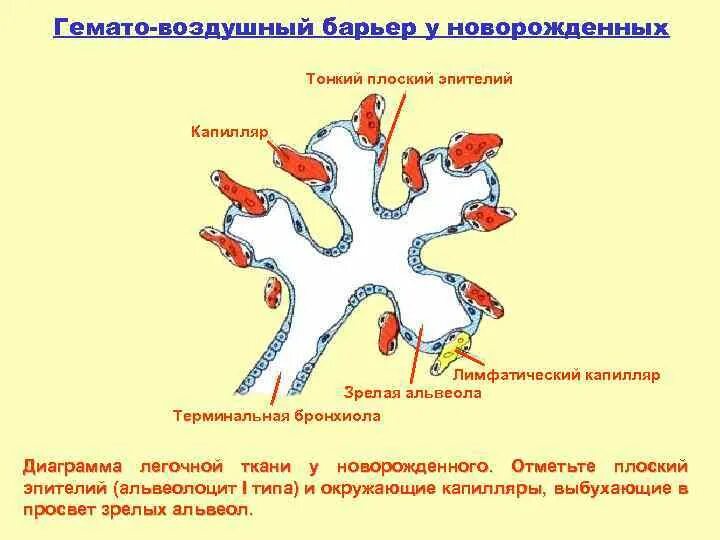 Воздушный барьер. Барьер на турникет. Барьер воздуха. Воздушный барьер. Тепловая завеса тропик 9квт.