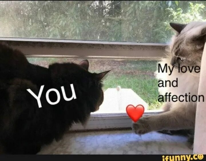 Фф you are my warmth. Affection картинки. Love and affection. My Love and affection перевод. Love affection cute.