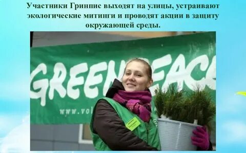 Гринпис участники