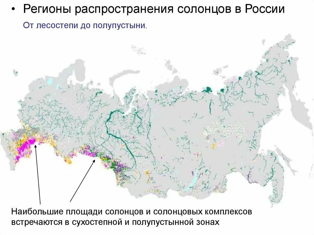 Засоление почв РФ карта. Засоленные почвы карта распространения. Карта солончаков России. Зоны засоления почв России.