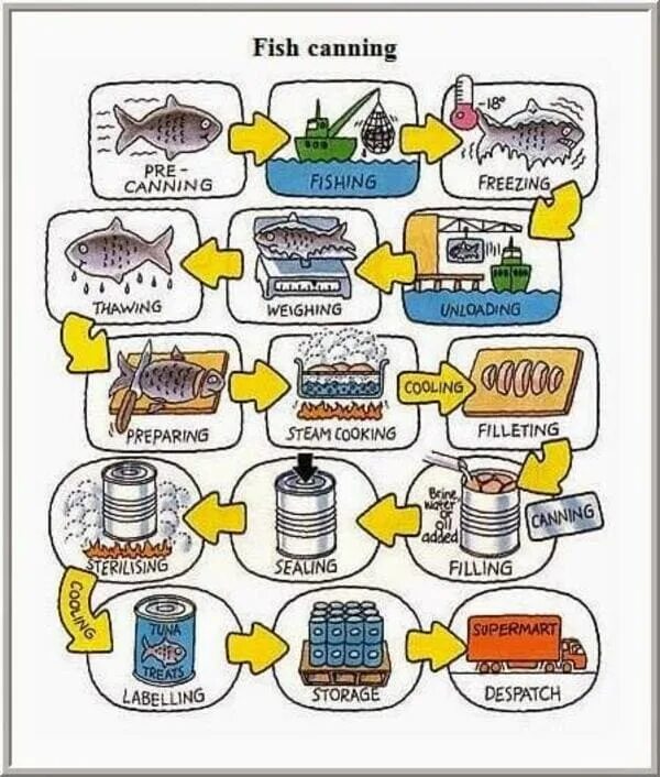 Canned writing. Ielts writing task 1 process diagram. процесс ielts. process graph ielts. ielts writing process.
