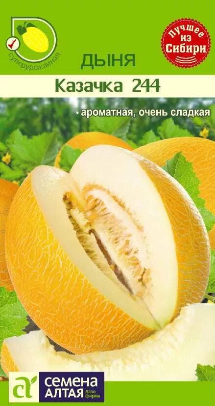 Дыня колхозница спелость. Сорта дыни для урала. Дыня рыжик сорт. Мечта сибарита дыня семена. Туркменские дыни.