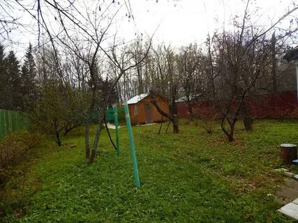 Снт садовод