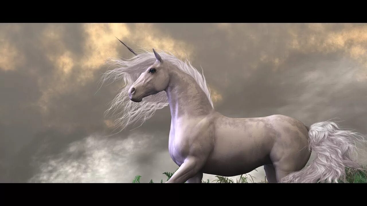 C unicorn