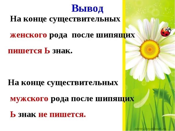 Сущ женского рода с шипящими на конце. Имена существительные женского рода с шипящими на конце. Задание ь в конце существительных женского рода. Мягкий знак после шипящих женского рода.