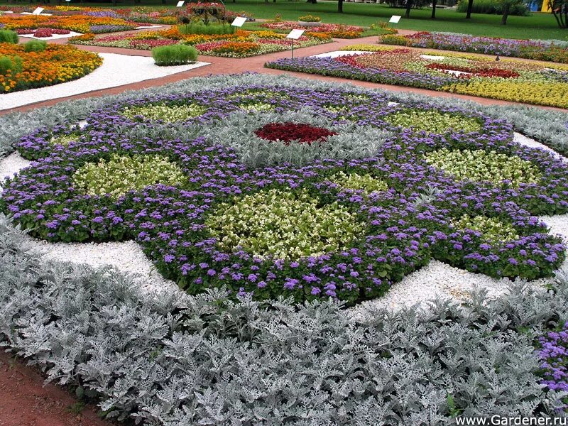 Красивые клумбы на даче. Увидев на клумбе. Виола королевская клумба. Цветочные клумбы. Цветник круглой формы.