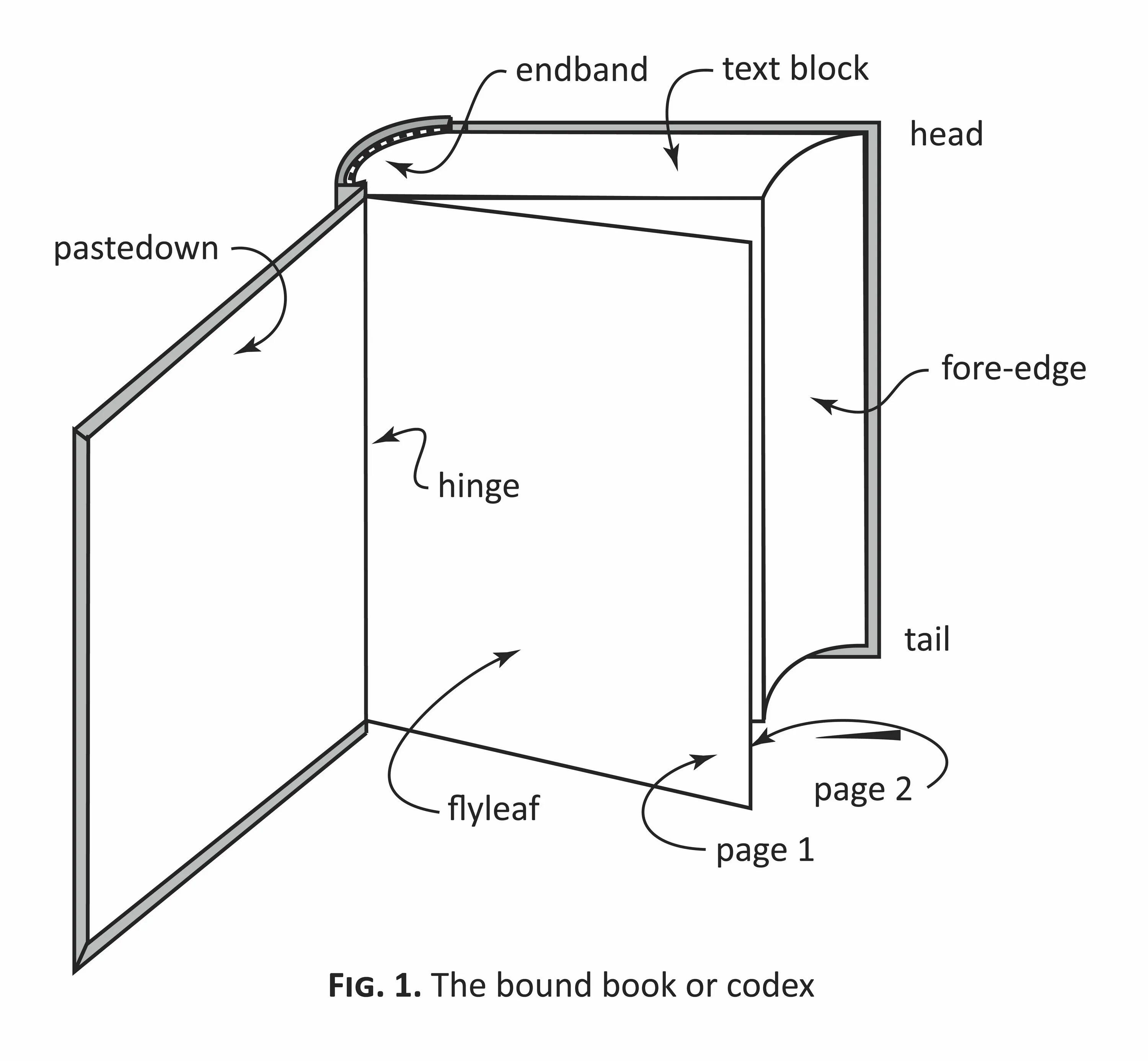 Parts of a book. Book Parts. Book structure. Parts of book Cover binds. Parts of the book 12 страница.