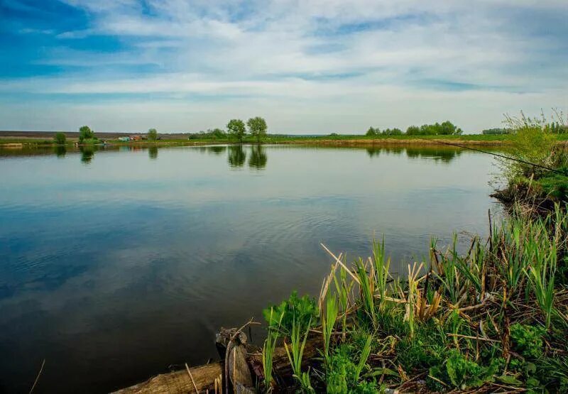 Курские водоемы