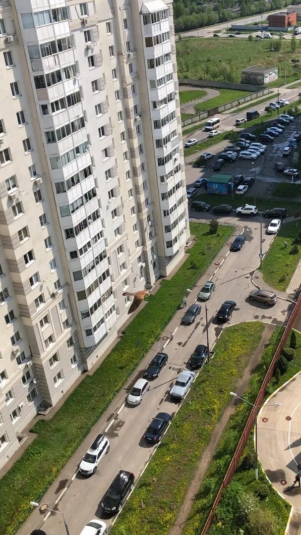 Балашиха микрорайон авиаторов д 10. Авиаторов 54. Микрорайон авиаторов балашиха. Колдунова 10 балашиха. Колдунова 10 балашиха.