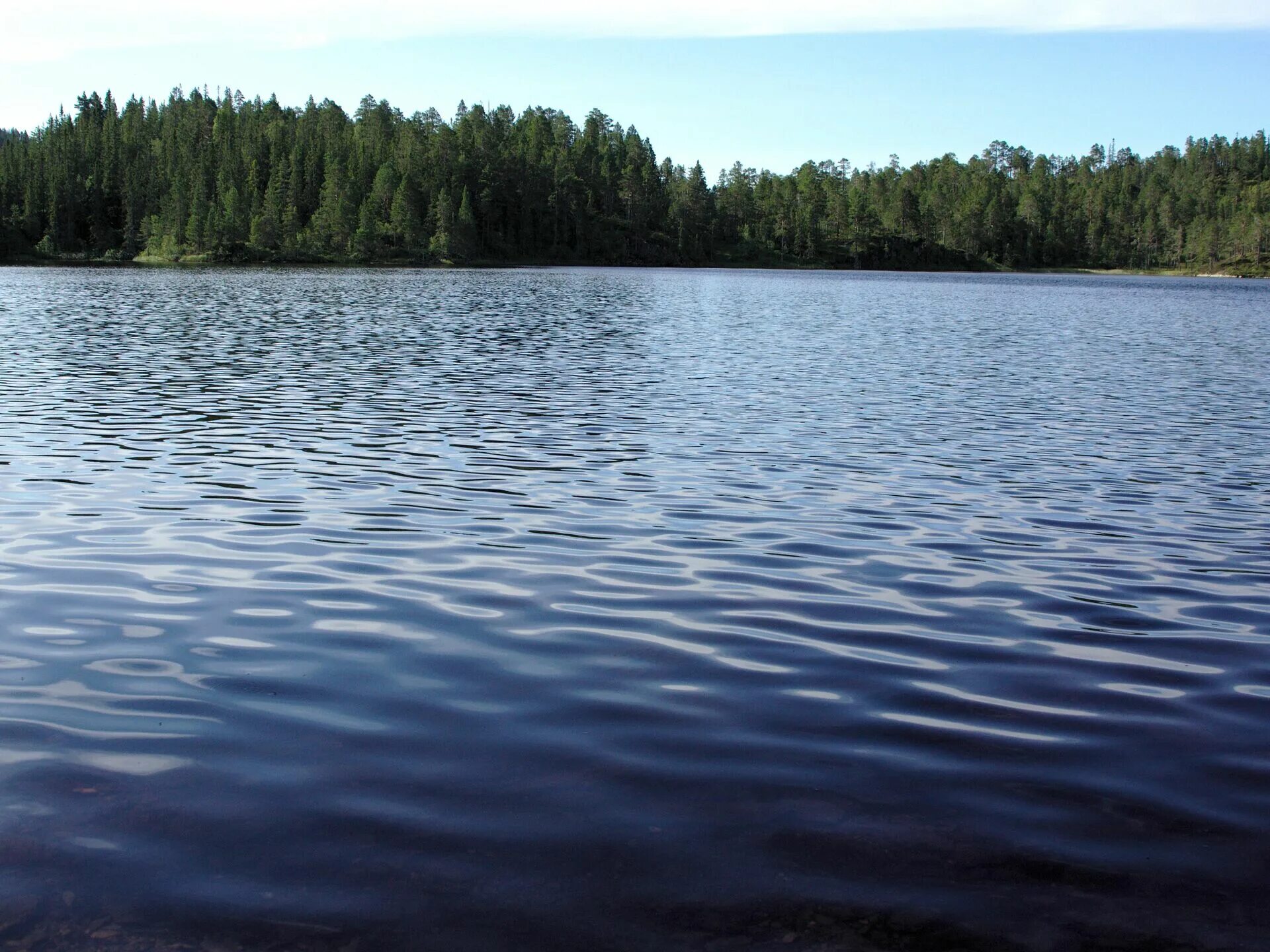 Озеро Варпаярви. Озеро Санхар. Озеро Варех. Вода озеро. Вода озерца
