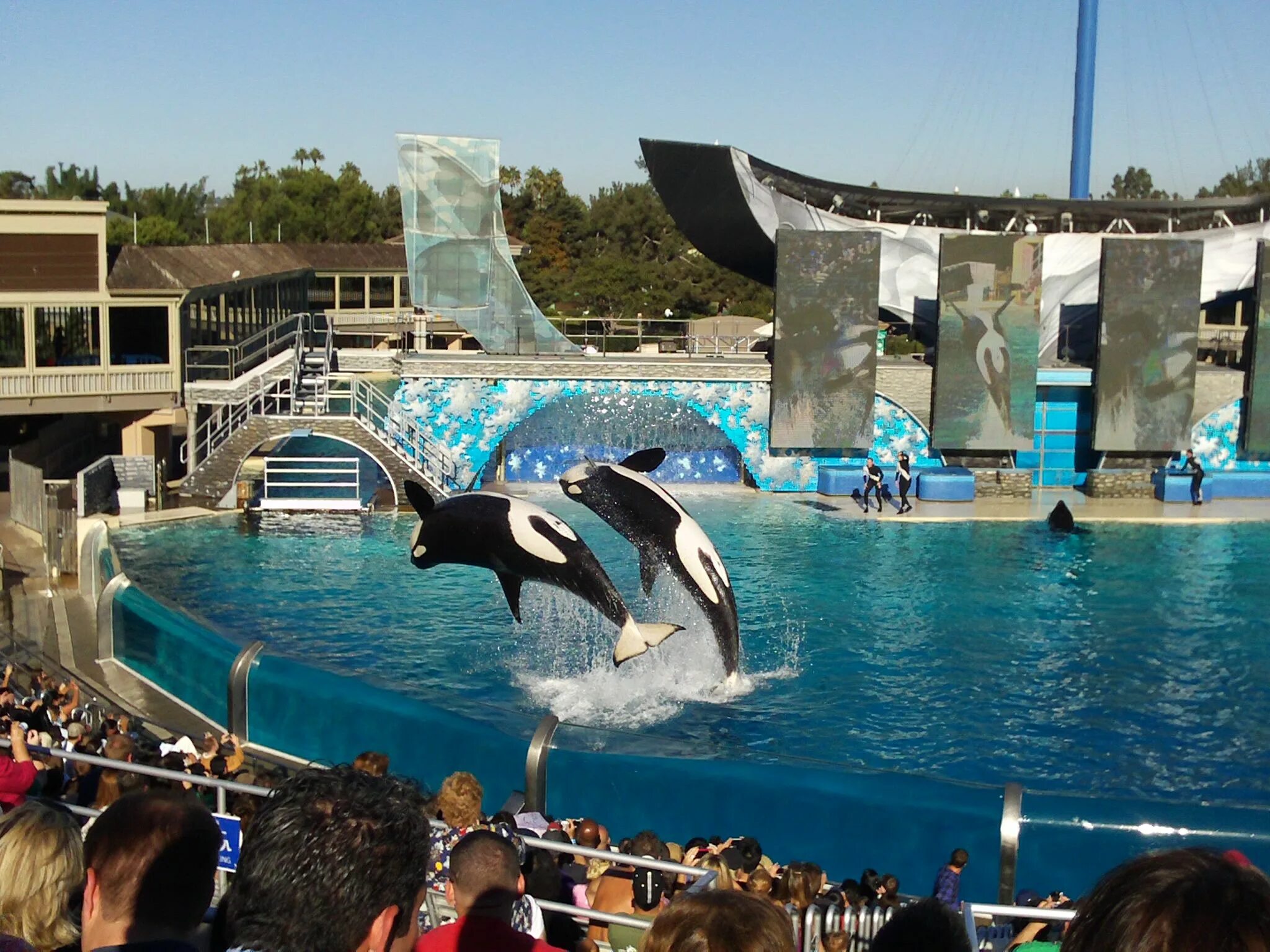 World san. SEAWORLD парк Лос-Анджелес. SEAWORLD San Diego show Killer Whale. SEAWORLD нержавеющая. Защёлка SEAWORLD.