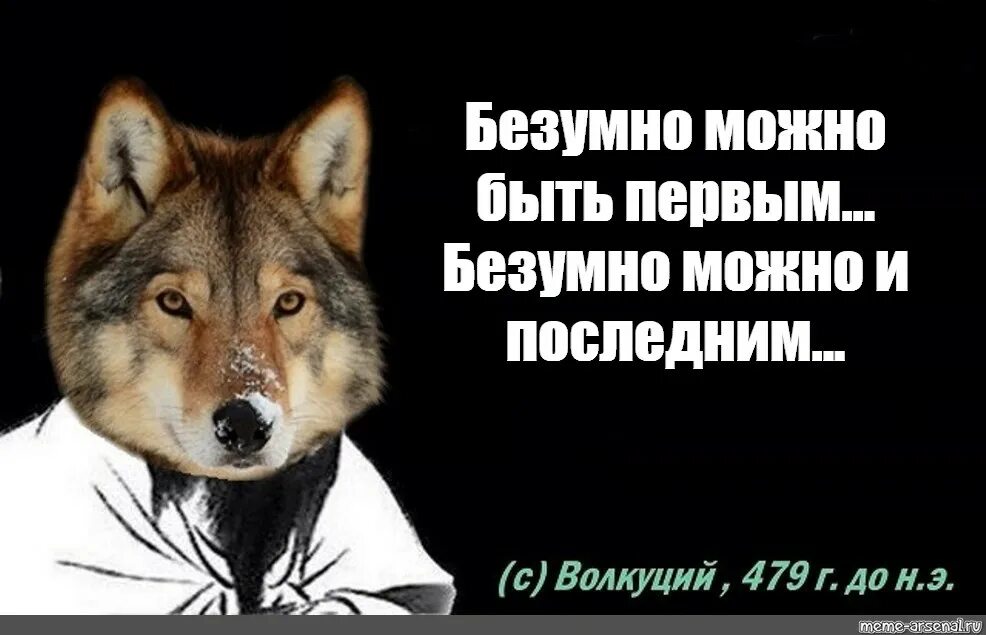 Безумно быть первым слушать. Безумно быть первым. Волк быть первым. Цитаты волка. Безумно можно быть первым волк.