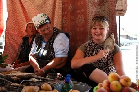 Рп5 черный яр астраханской обл