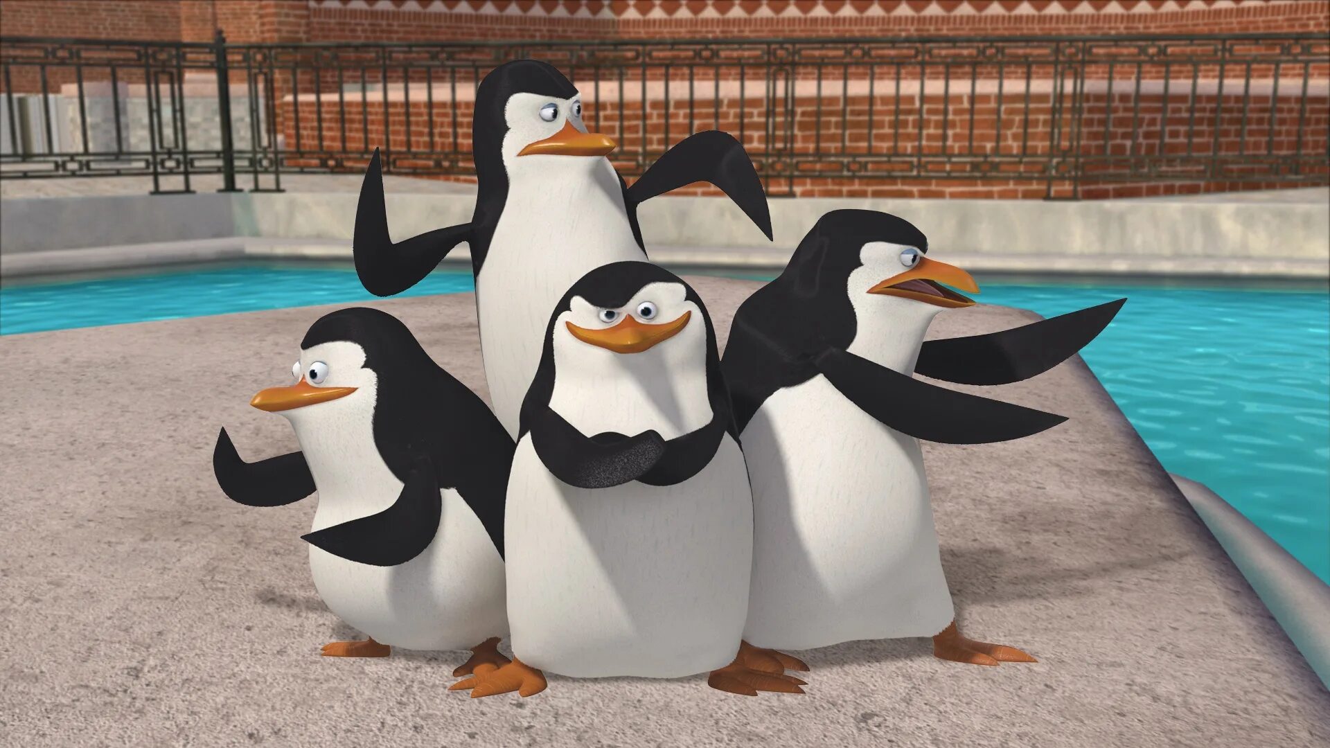 Чудо пингвины. Пингвины мадагаскара penguins of madagascar. пингивины из мадагаскар. nickelodeon пингвины из мадагаскара. 4 пингвина мадагаскар.