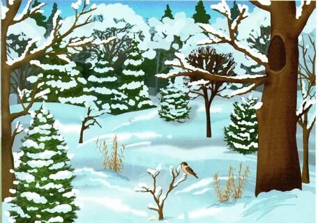 Түрік еркектерінің секс сипаты