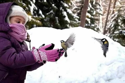 Птичьи дети