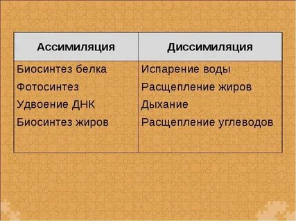 Что такое диссимиляция кратко
