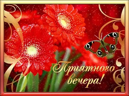 Добрый вечер среды