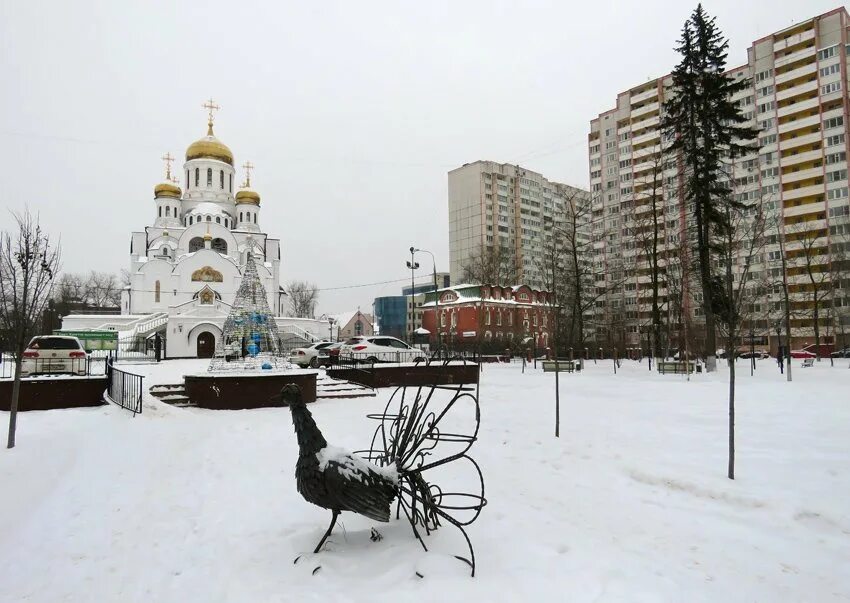 Реутов город Московская область. Реутов зимой. Москва город Реутов. Ород Реутов. Сайты реутов московская область