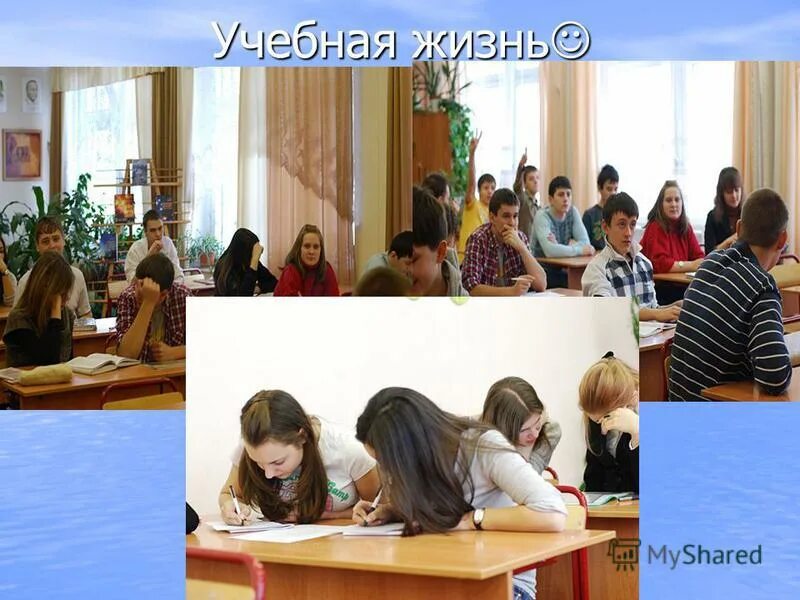 Образовательная жизнь. Учебная жизнь. Наша учебная жизнь. Красноярск учёба и жизнь.