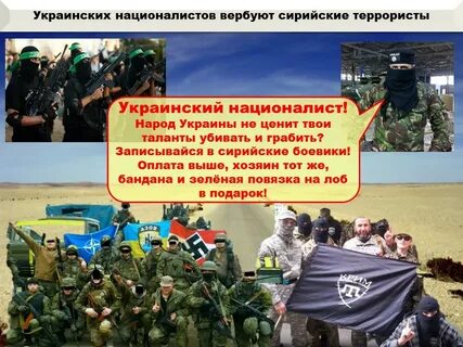 Получены доказательства связи террористов с украиной