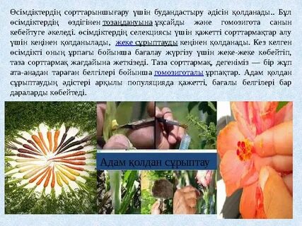 Жас қыздардың секс порносы