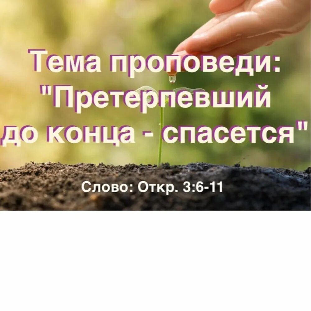 Претерпевший же до конца спасется. Претерпевший до конца спасется. претерпевший до конца спасется евангелие. претерпевший до конца спасен будет. кто претерпит до конца тот спасется.