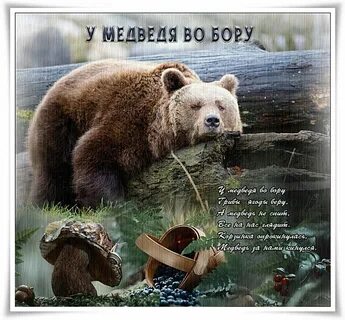 У медведя есть друг
