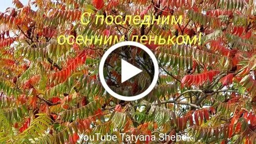 30 ноября последний день. С последним днем осени. Открытки с последним днем ноября. 30 Ноября заключительный день осени. 30 Ноября до свидания осень.