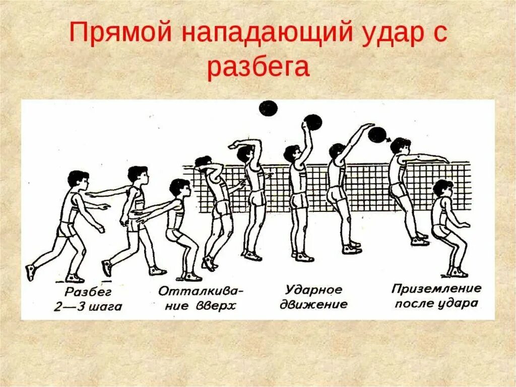 Активное передвижение характерно для. Нападающий удар в волейболе техника выполнения. Техника прямого нападающего удара в волейболе удар. Последовательность нападающего удара в волейболе. . Волейбол. Техника игры: атакующий удар (прямой, боковой)..