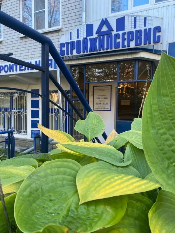 Стройжилсервис салехард. Стройжилсервис салехард. Стройжилсервис салехард. Стройжилсервис салехард. Стройжилсервис салехард.