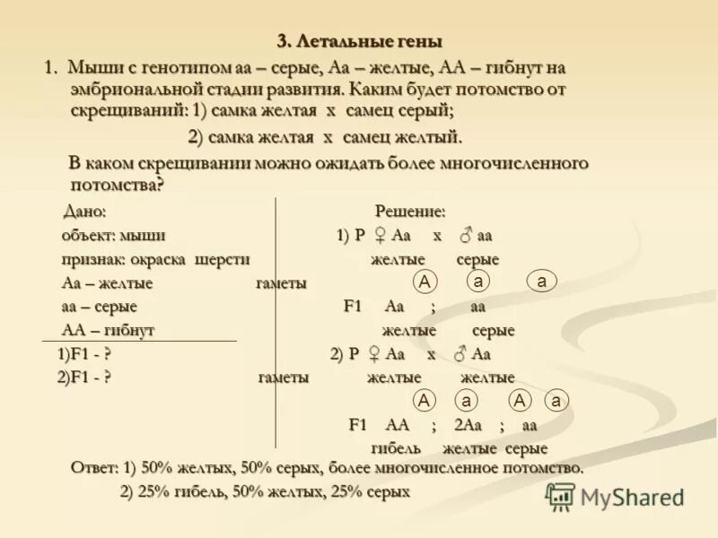 У человека доминантный ген а определяет стойкий. Генетические задачи. Генетические задачи по биологии. Решение задач по генетике. Задачи по биологии генетика.